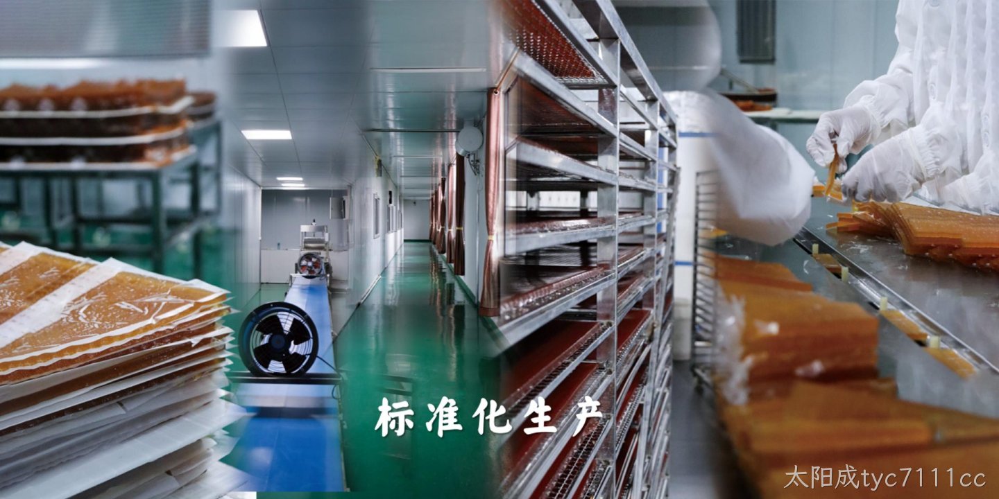 太阳成tyc7111cc绿色食品（吴川）有限公司
